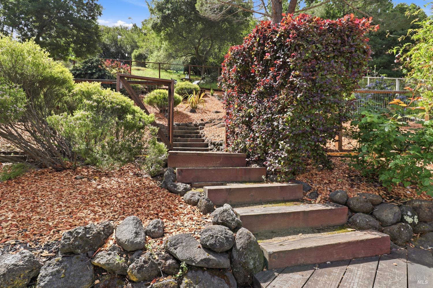 Detail Gallery Image 45 of 48 For 23 Terra Linda Dr, San Rafael,  CA 94903 - 4 Beds | 2/1 Baths