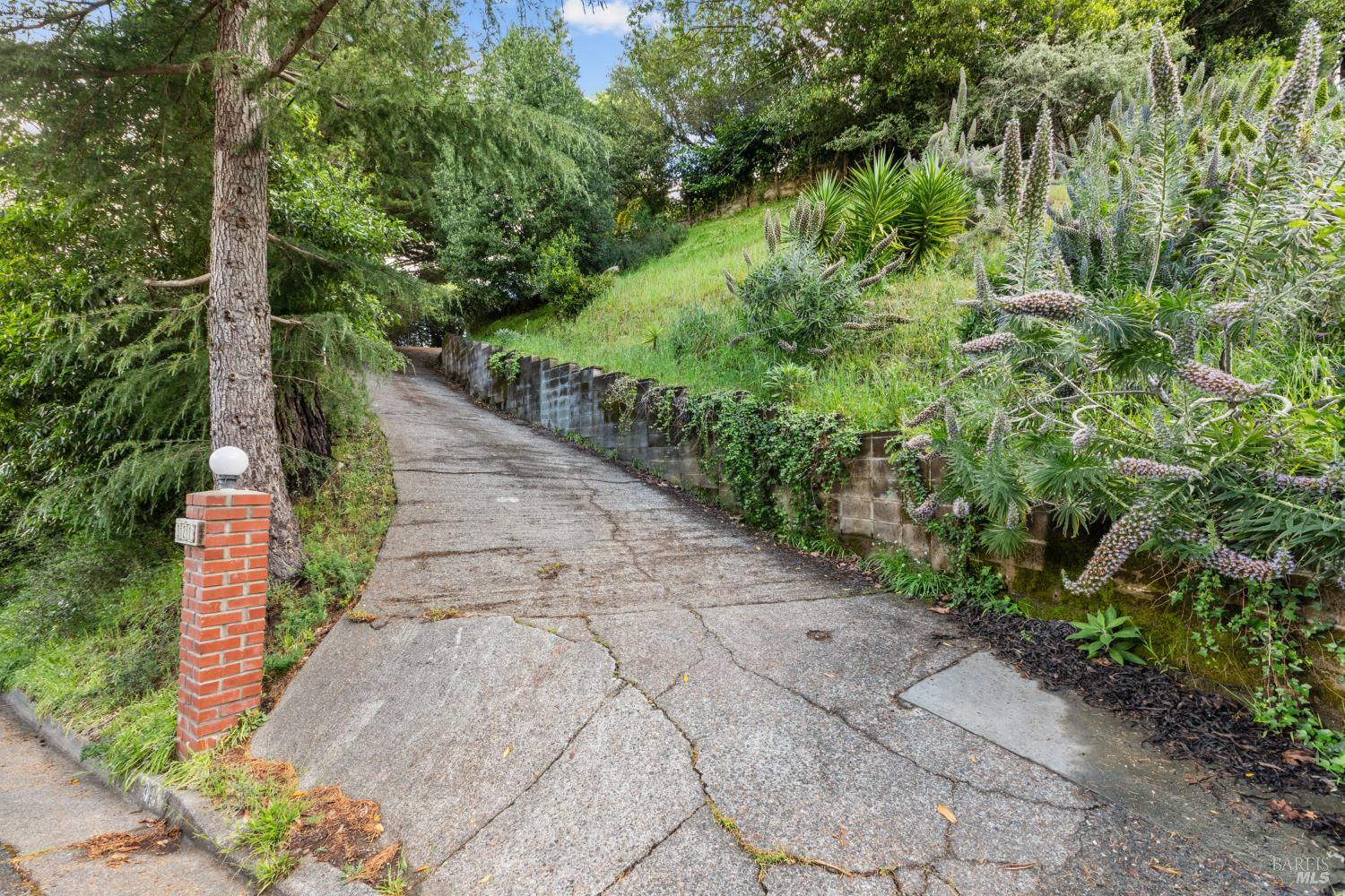 Detail Gallery Image 30 of 35 For 321 Laurel Way, Mill Valley,  CA 94941 - 3 Beds | 2 Baths