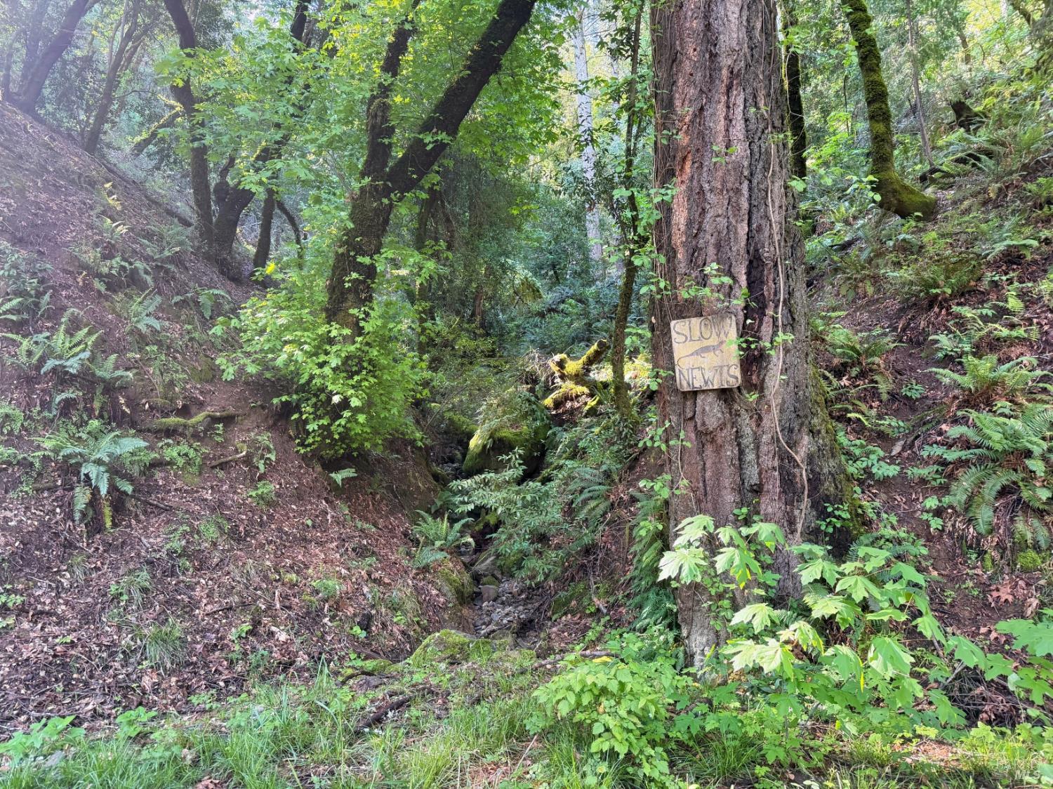 Detail Gallery Image 42 of 57 For 2501 Main Ranch Rd, Redwood Valley,  CA 95470 - 2 Beds | 1 Baths