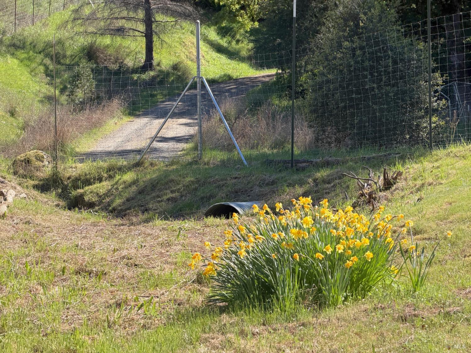 Detail Gallery Image 21 of 57 For 2501 Main Ranch Rd, Redwood Valley,  CA 95470 - 2 Beds | 1 Baths