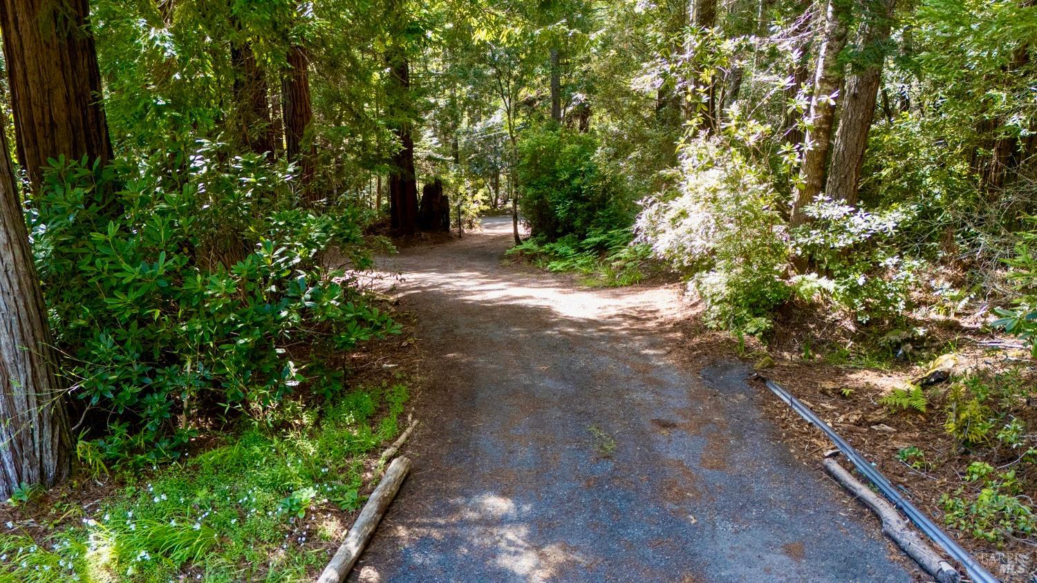 Detail Gallery Image 5 of 42 For 33100 Frog Pond Rd, Little River_1,  CA 95456 - 3 Beds | 3 Baths