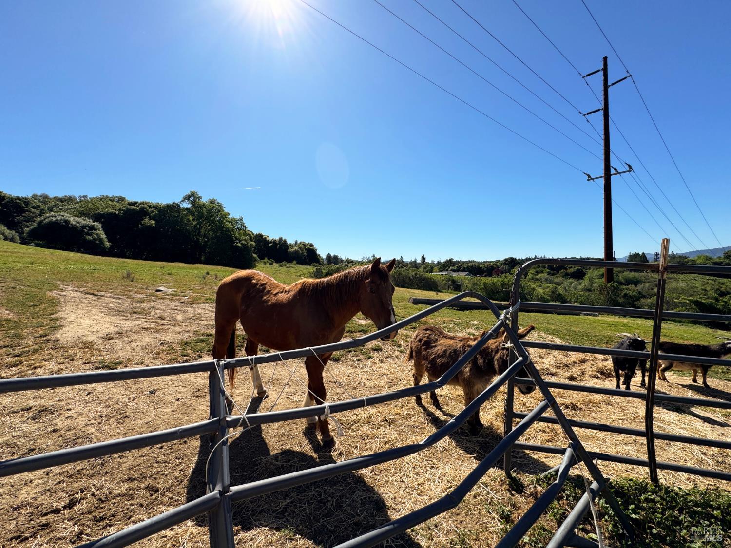 Detail Gallery Image 58 of 78 For 4400 Lake Ridge Dr, Ukiah,  CA 95482 - 3 Beds | 2 Baths