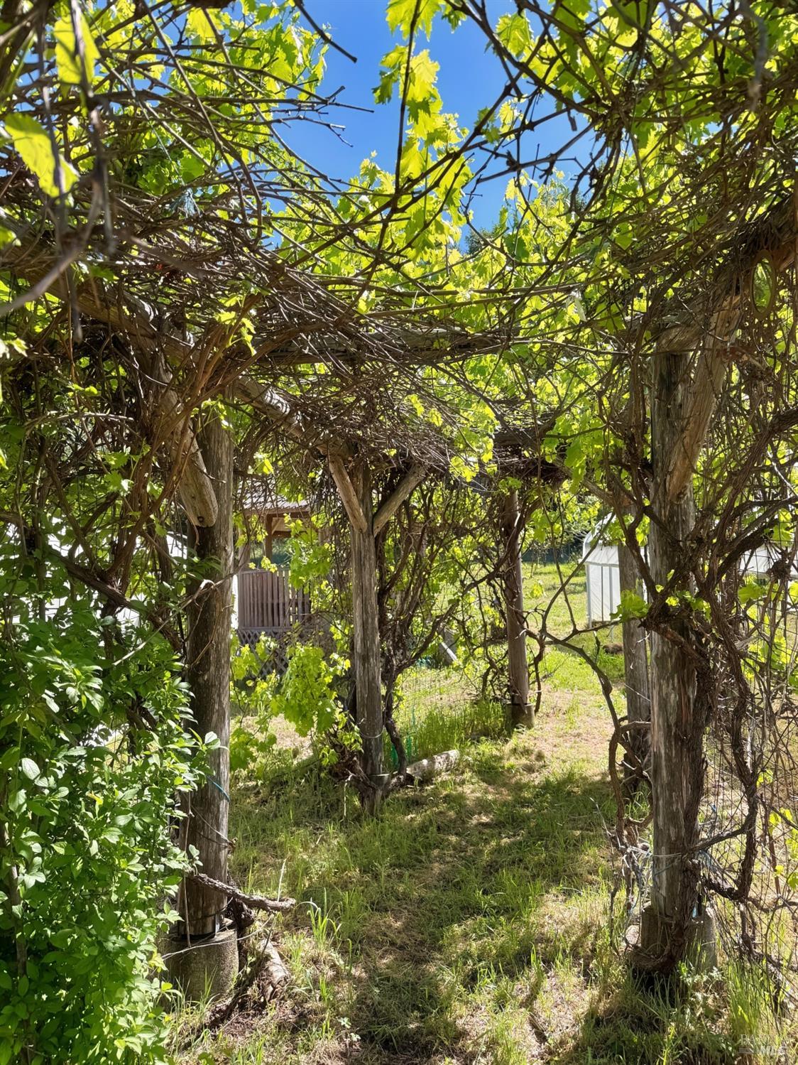 Detail Gallery Image 37 of 57 For 2501 Main Ranch Rd, Redwood Valley,  CA 95470 - 2 Beds | 1 Baths