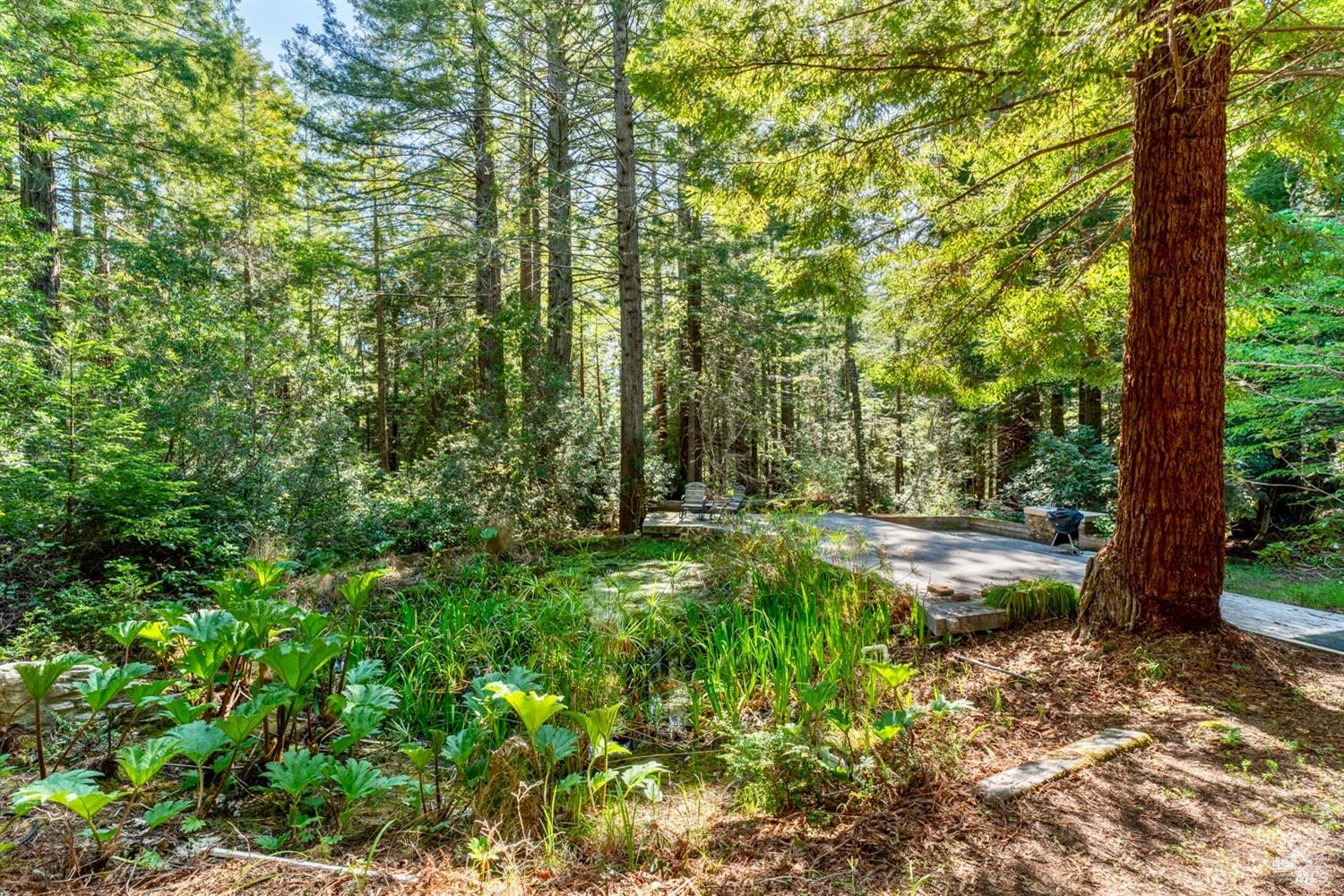 Detail Gallery Image 41 of 42 For 33100 Frog Pond Rd, Little River_1,  CA 95456 - 3 Beds | 3 Baths