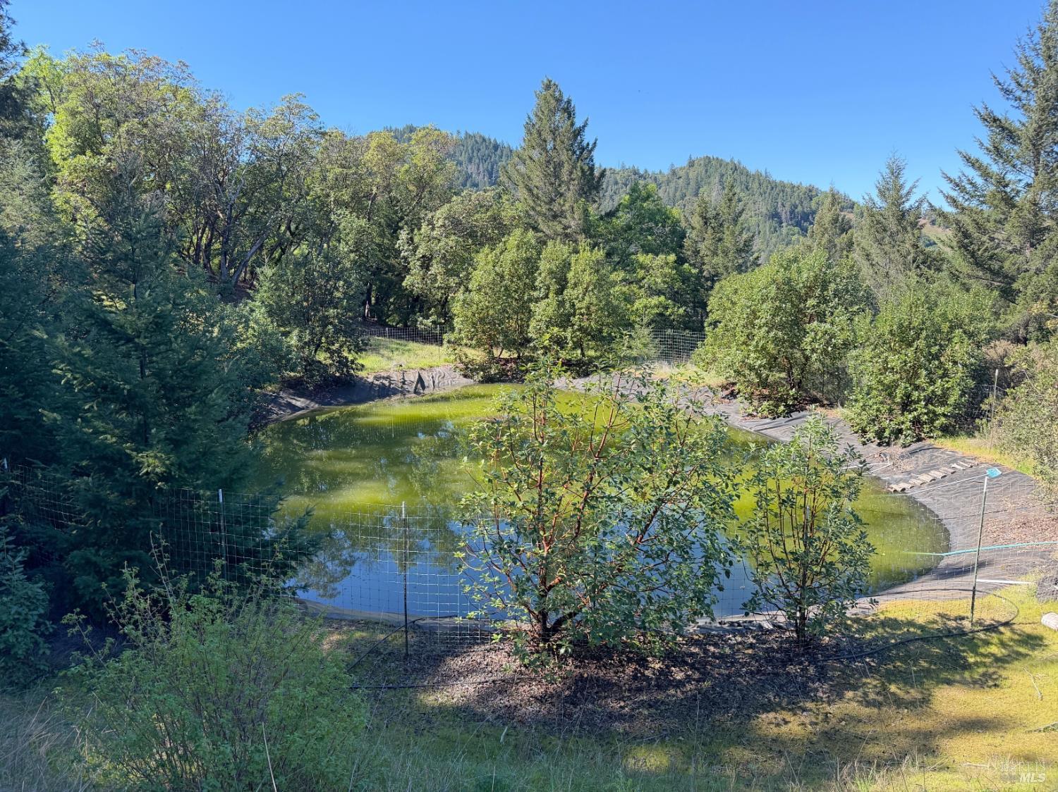 Detail Gallery Image 29 of 57 For 2501 Main Ranch Rd, Redwood Valley,  CA 95470 - 2 Beds | 1 Baths