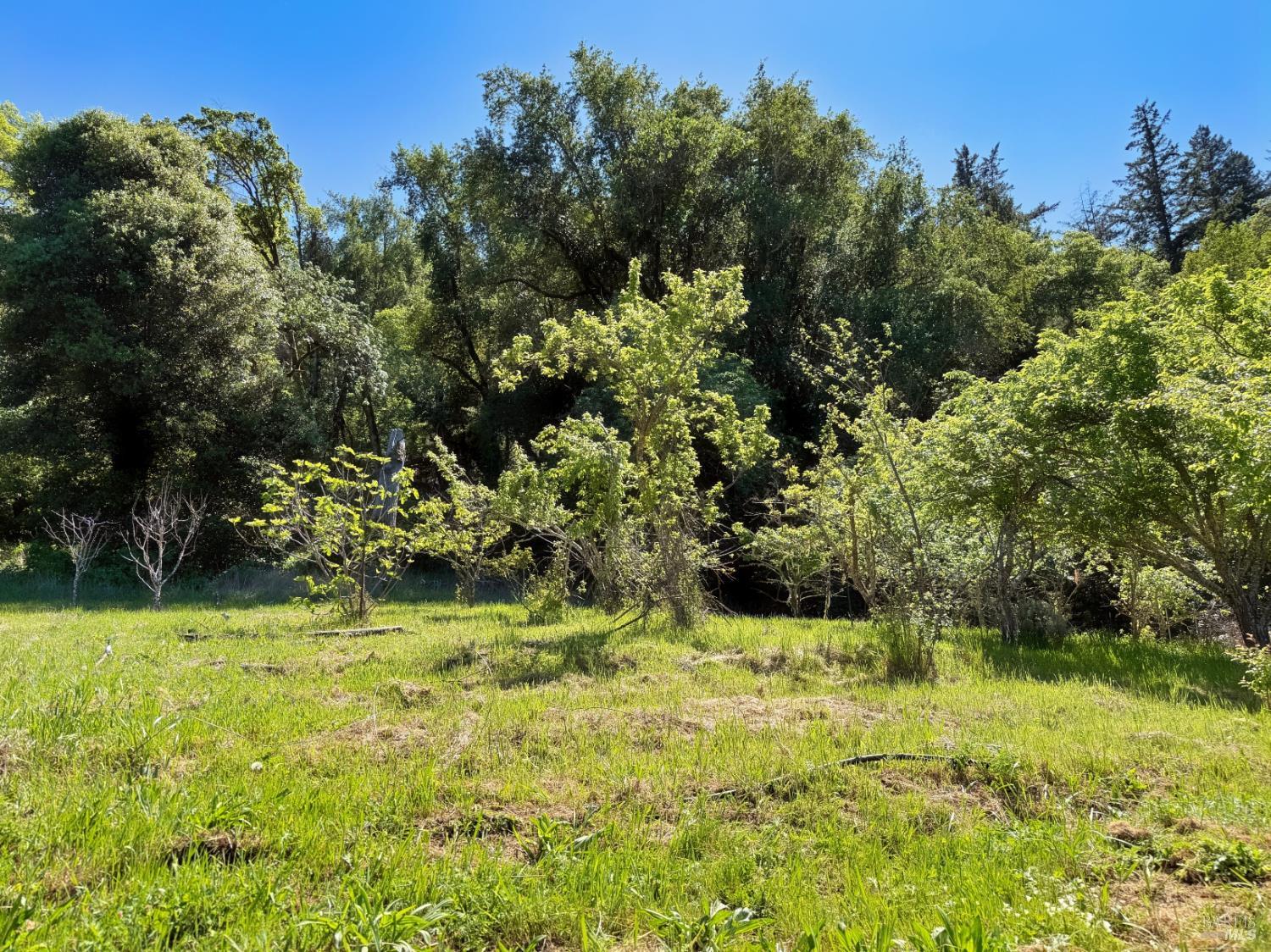 Detail Gallery Image 38 of 57 For 2501 Main Ranch Rd, Redwood Valley,  CA 95470 - 2 Beds | 1 Baths