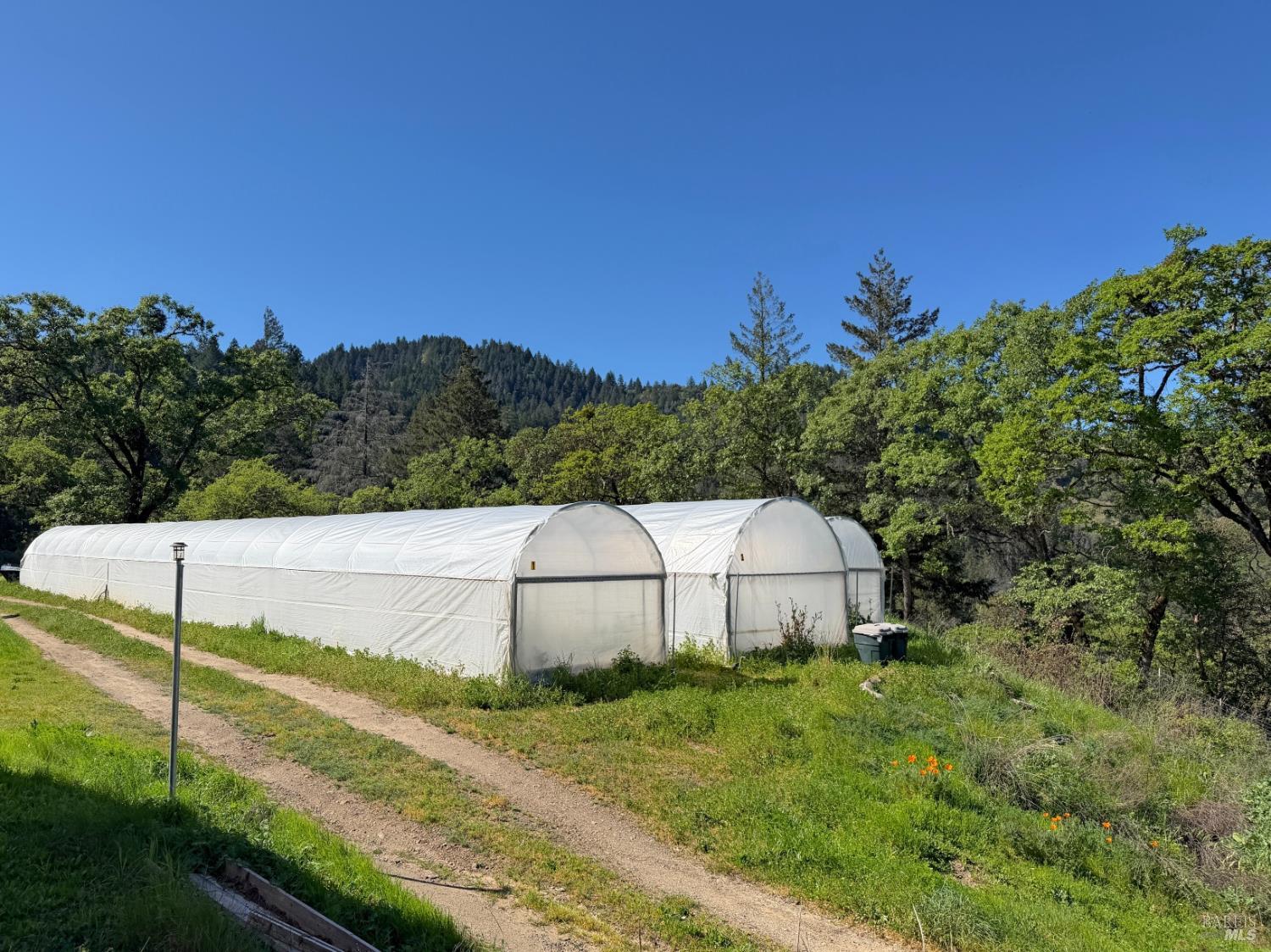 Detail Gallery Image 34 of 57 For 2501 Main Ranch Rd, Redwood Valley,  CA 95470 - 2 Beds | 1 Baths