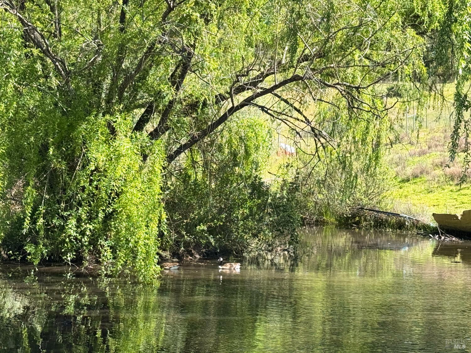 Detail Gallery Image 47 of 78 For 3981 Eastside Calpella Rd, Ukiah,  CA 95482 - 3 Beds | 1/1 Baths