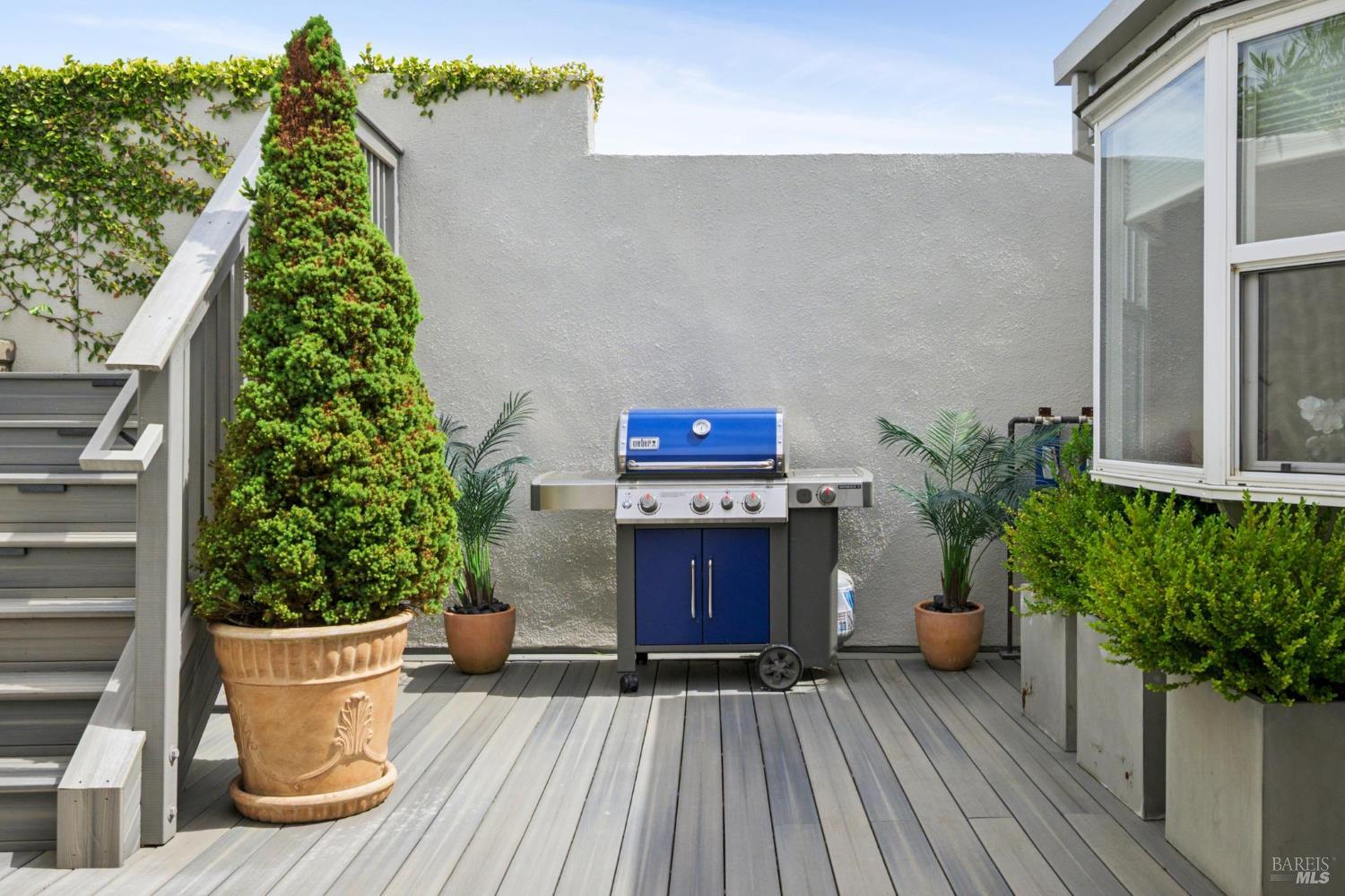 Detail Gallery Image 52 of 62 For 121 Red Hill Cir, Belvedere Tiburon,  CA 94920 - 3 Beds | 2/1 Baths