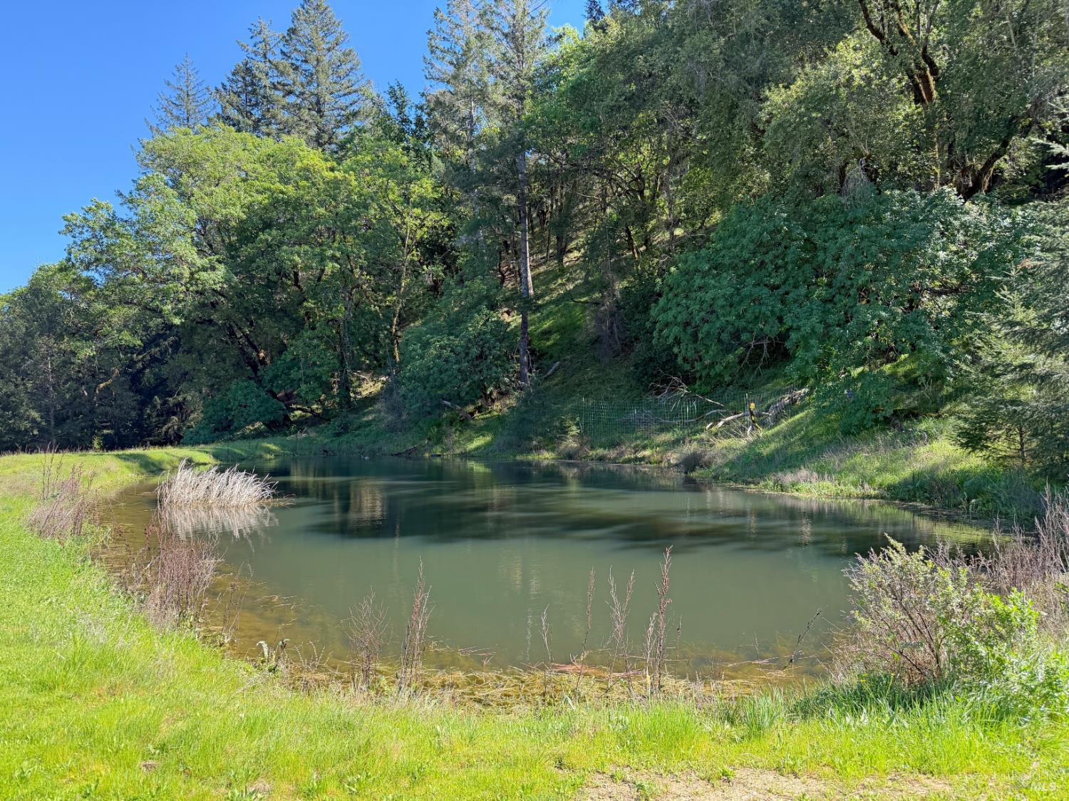 Detail Gallery Image 31 of 57 For 2501 Main Ranch Rd, Redwood Valley,  CA 95470 - 2 Beds | 1 Baths