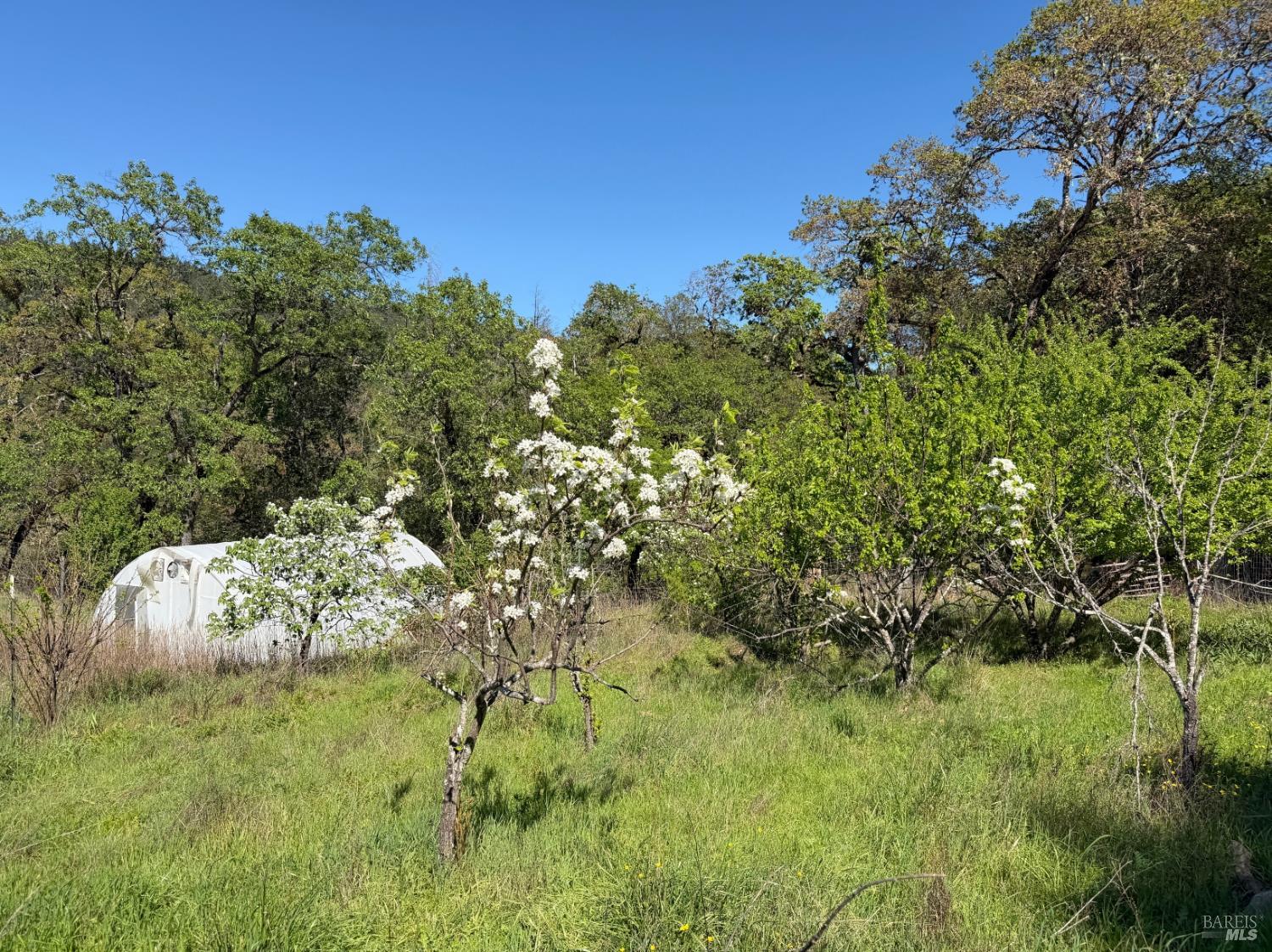 Detail Gallery Image 26 of 57 For 2501 Main Ranch Rd, Redwood Valley,  CA 95470 - 2 Beds | 1 Baths