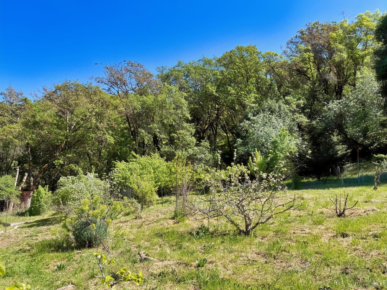 Detail Gallery Image 39 of 57 For 2501 Main Ranch Rd, Redwood Valley,  CA 95470 - 2 Beds | 1 Baths