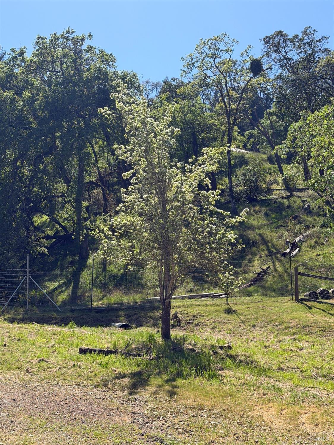 Detail Gallery Image 23 of 57 For 2501 Main Ranch Rd, Redwood Valley,  CA 95470 - 2 Beds | 1 Baths