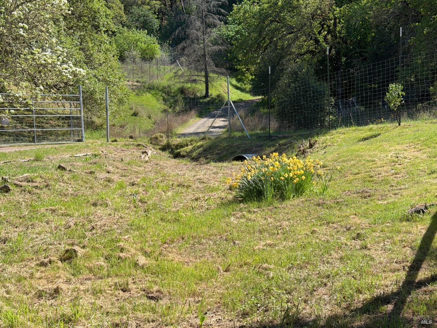 Detail Gallery Image 20 of 57 For 2501 Main Ranch Rd, Redwood Valley,  CA 95470 - 2 Beds | 1 Baths