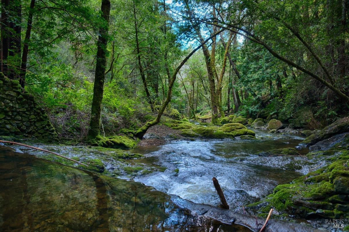 Detail Gallery Image 62 of 62 For 68 Wreden Ave, Fairfax,  CA 94930 - 2 Beds | 2 Baths