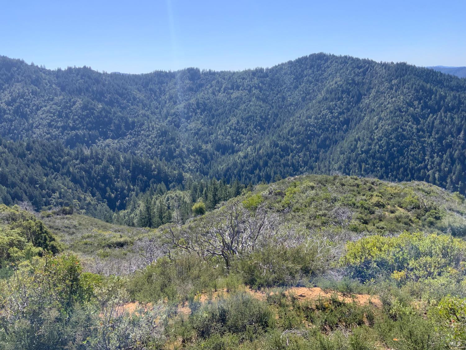 Front Image Thumbnail for BA326030651