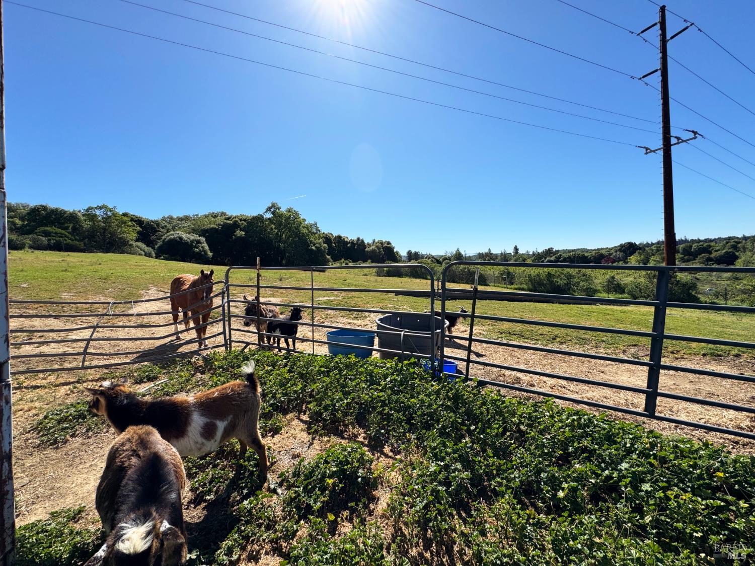 Detail Gallery Image 57 of 78 For 4400 Lake Ridge Dr, Ukiah,  CA 95482 - 3 Beds | 2 Baths