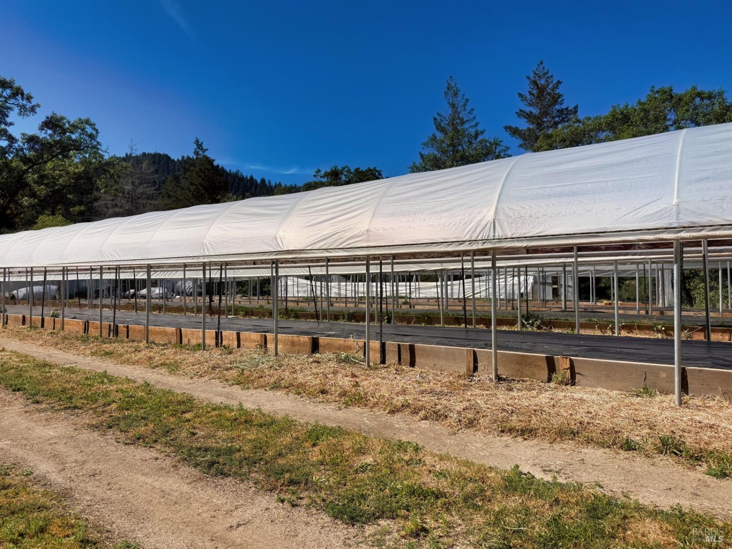 Detail Gallery Image 41 of 57 For 2501 Main Ranch Rd, Redwood Valley,  CA 95470 - 2 Beds | 1 Baths