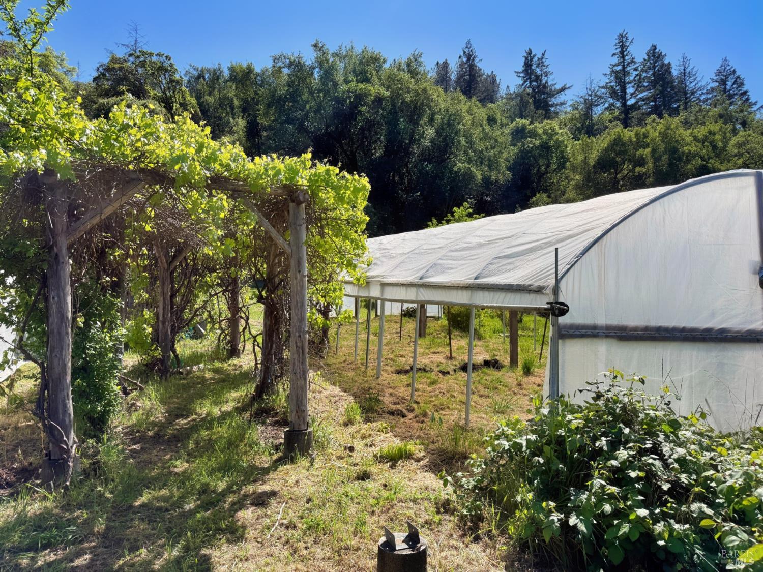 Detail Gallery Image 36 of 57 For 2501 Main Ranch Rd, Redwood Valley,  CA 95470 - 2 Beds | 1 Baths