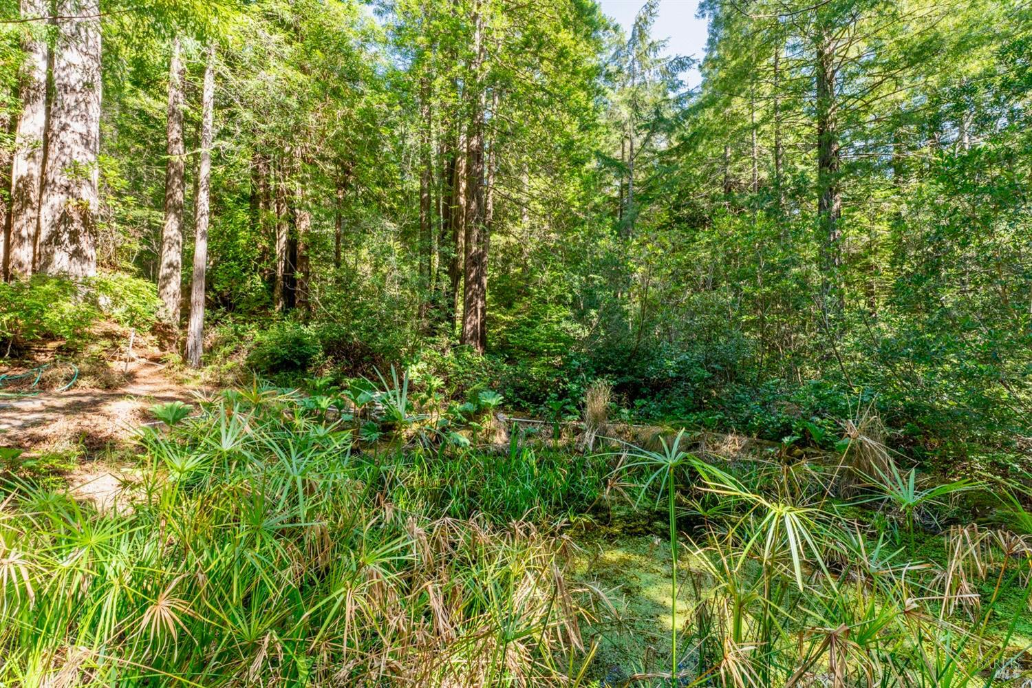 Detail Gallery Image 38 of 42 For 33100 Frog Pond Rd, Little River_1,  CA 95456 - 3 Beds | 3 Baths