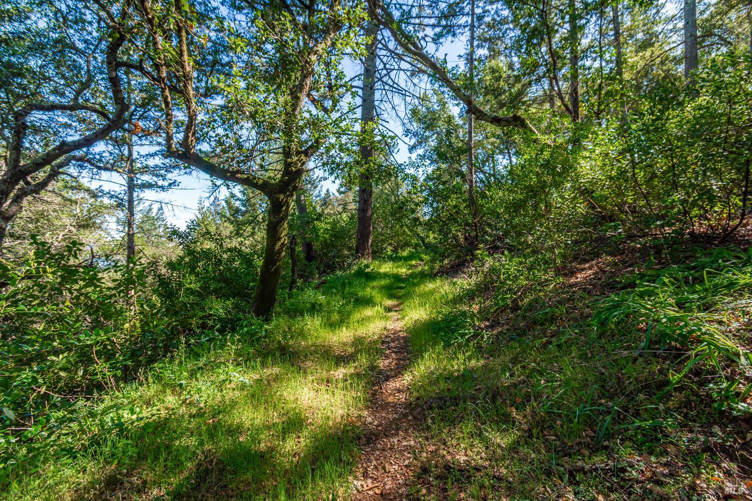 Detail Gallery Image 73 of 98 For 0 Dry Creek Rd, Napa,  CA 94558 - – Beds | – Baths