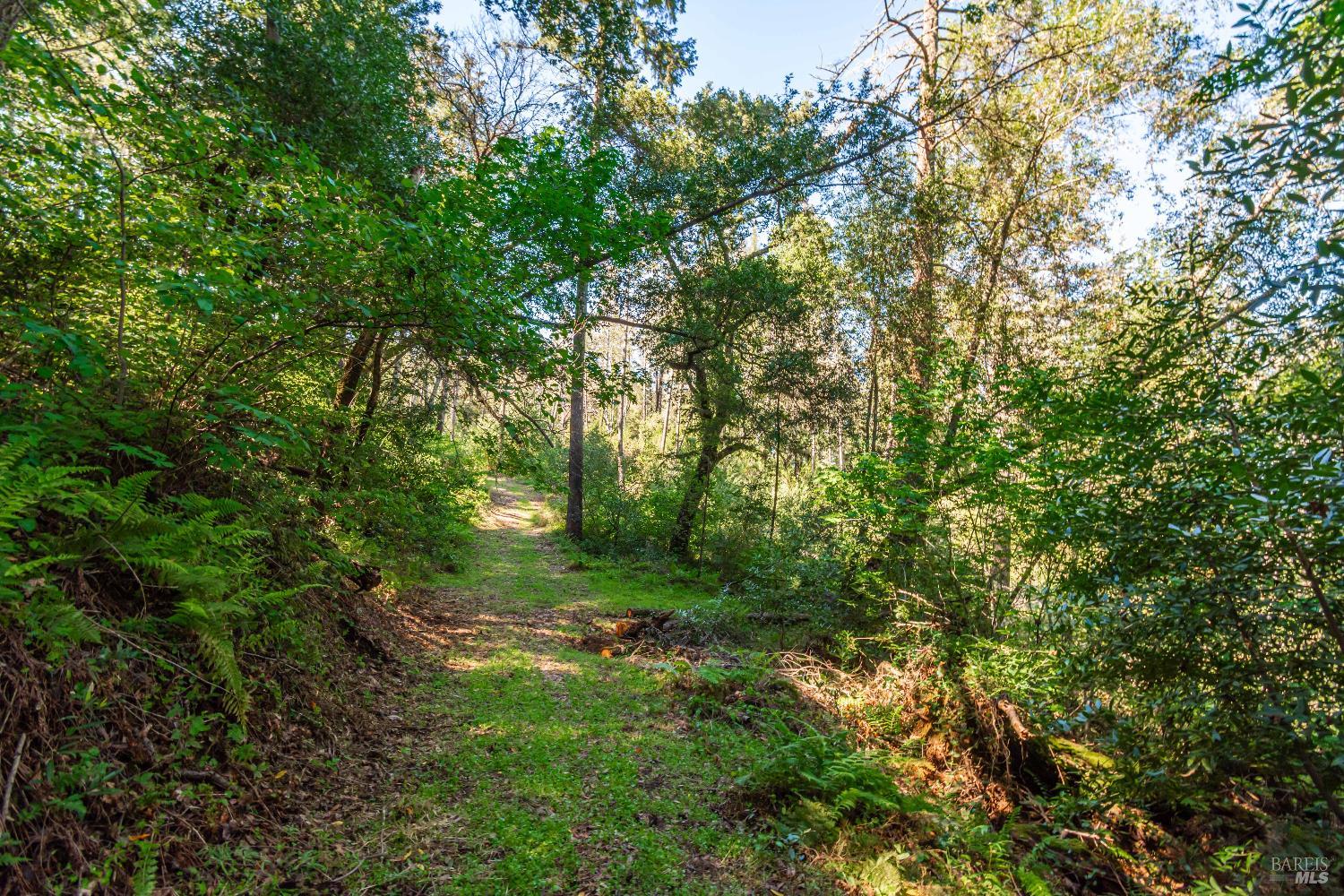 Detail Gallery Image 45 of 98 For 0 Dry Creek Rd, Napa,  CA 94558 - – Beds | – Baths