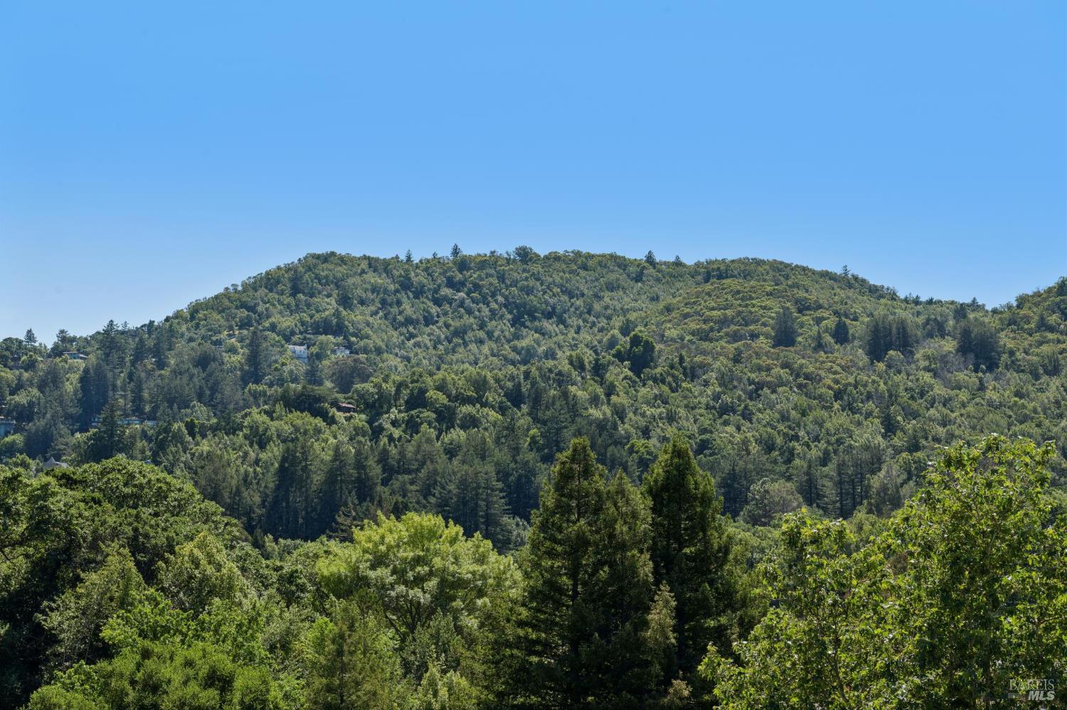 Detail Gallery Image 30 of 51 For 115 Piper Ln, Fairfax,  CA 94930 - 3 Beds | 2/1 Baths