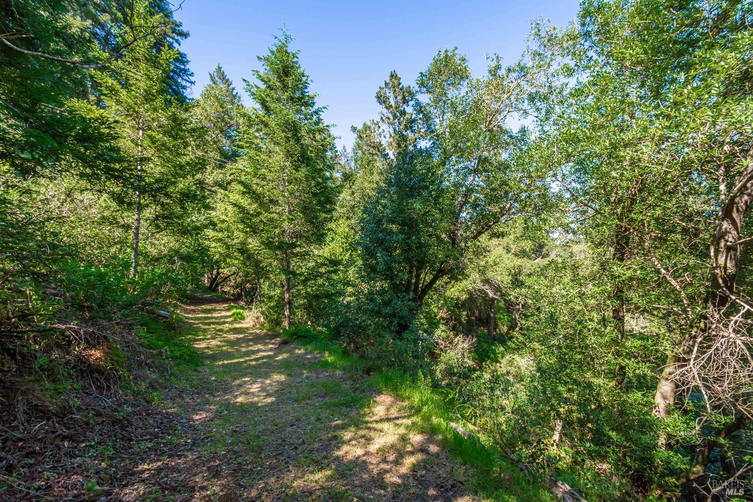 Detail Gallery Image 36 of 98 For 0 Dry Creek Rd, Napa,  CA 94558 - – Beds | – Baths