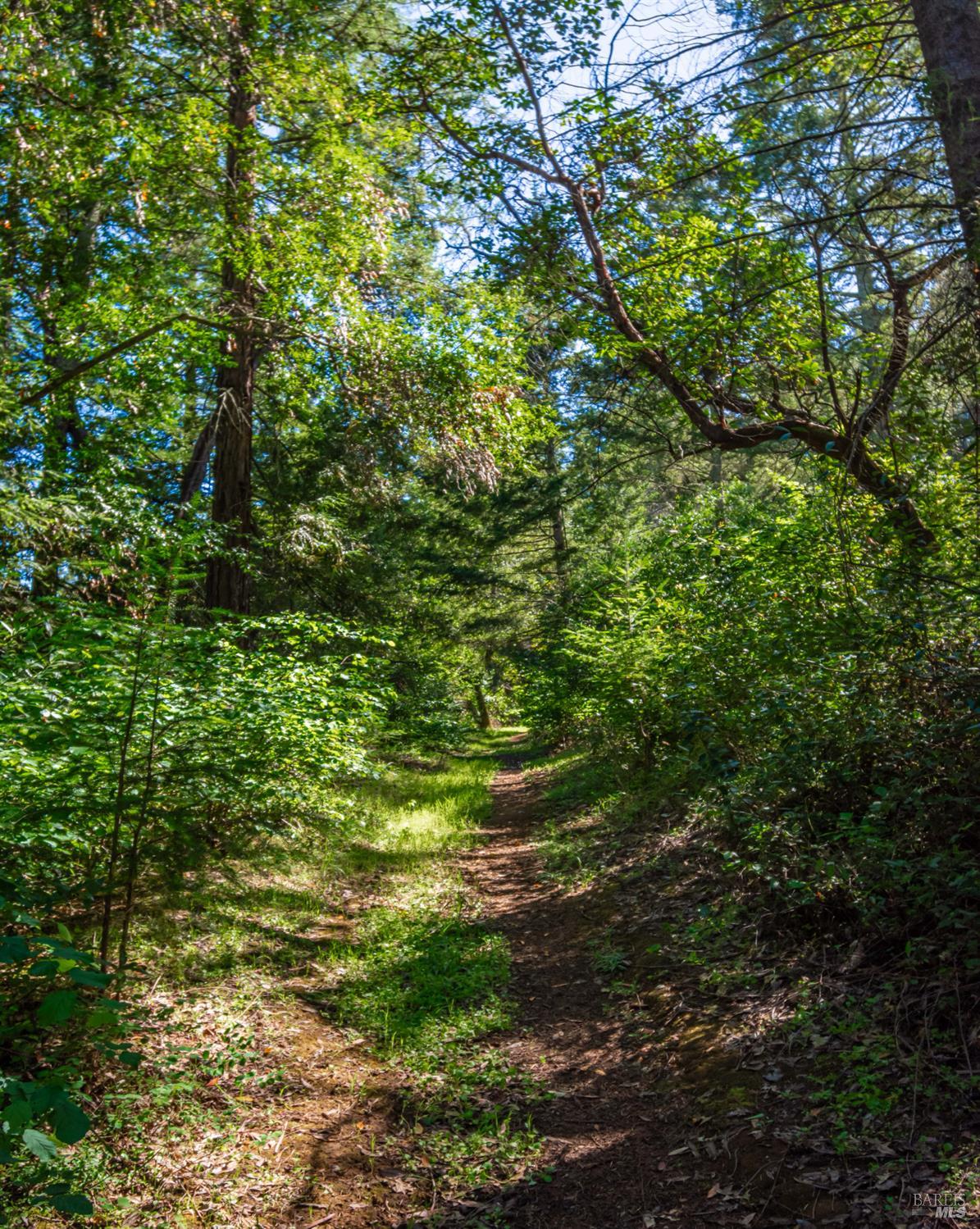 Detail Gallery Image 70 of 98 For 0 Dry Creek Rd, Napa,  CA 94558 - – Beds | – Baths