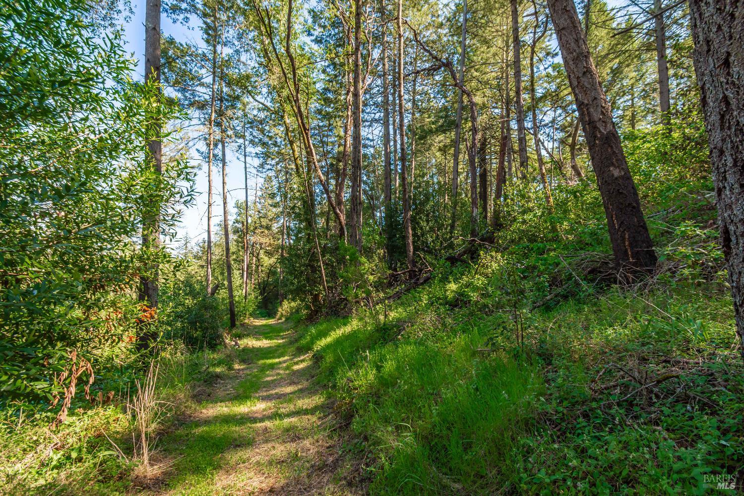 Detail Gallery Image 50 of 98 For 0 Dry Creek Rd, Napa,  CA 94558 - – Beds | – Baths