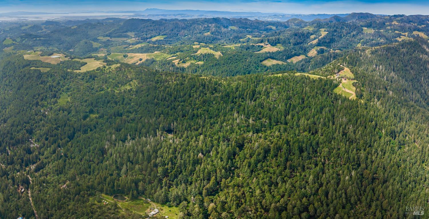 Detail Gallery Image 16 of 98 For 0 Dry Creek Rd, Napa,  CA 94558 - – Beds | – Baths