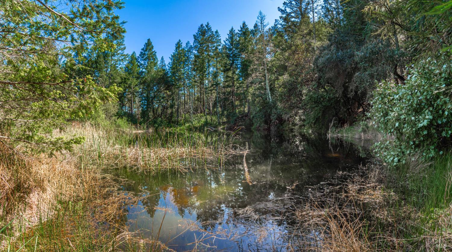Detail Gallery Image 60 of 98 For 0 Dry Creek Rd, Napa,  CA 94558 - – Beds | – Baths