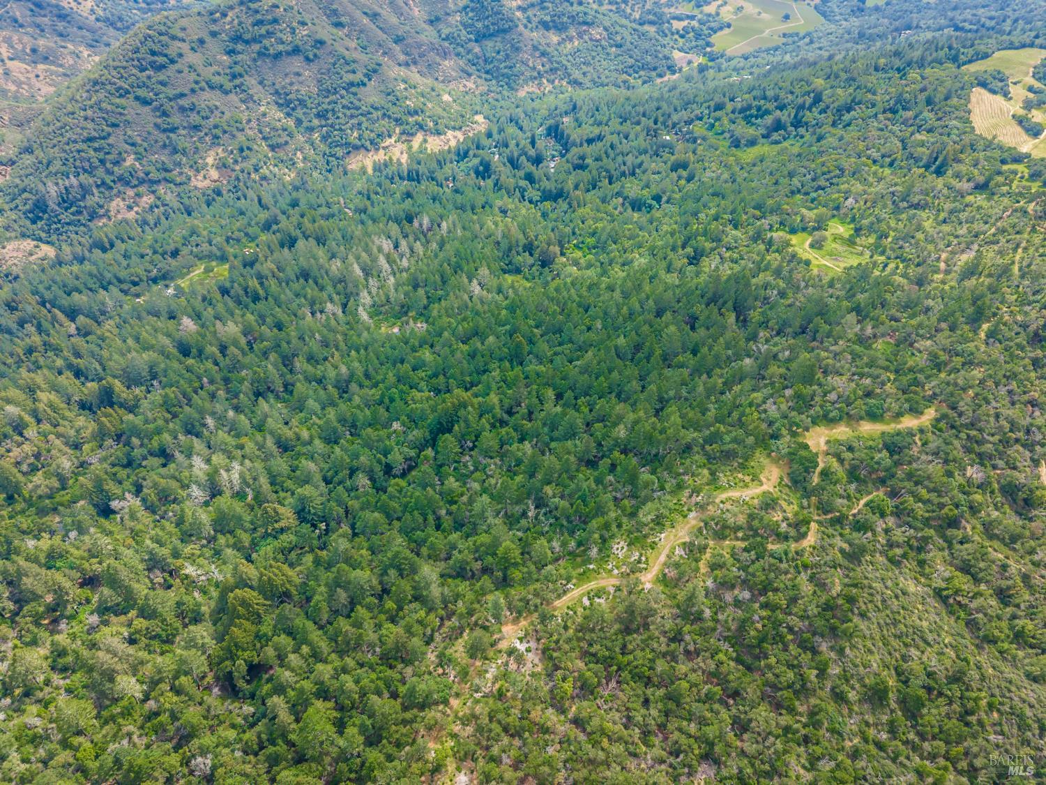 Detail Gallery Image 10 of 98 For 0 Dry Creek Rd, Napa,  CA 94558 - – Beds | – Baths