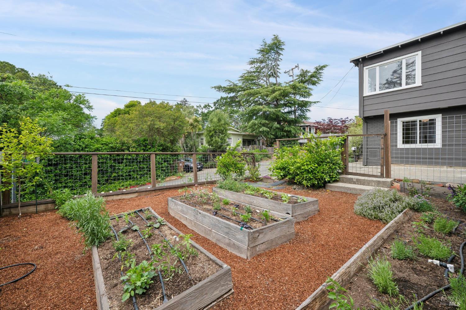 Detail Gallery Image 56 of 71 For 27 Sierra Ave, San Anselmo,  CA 94960 - 3 Beds | 2 Baths