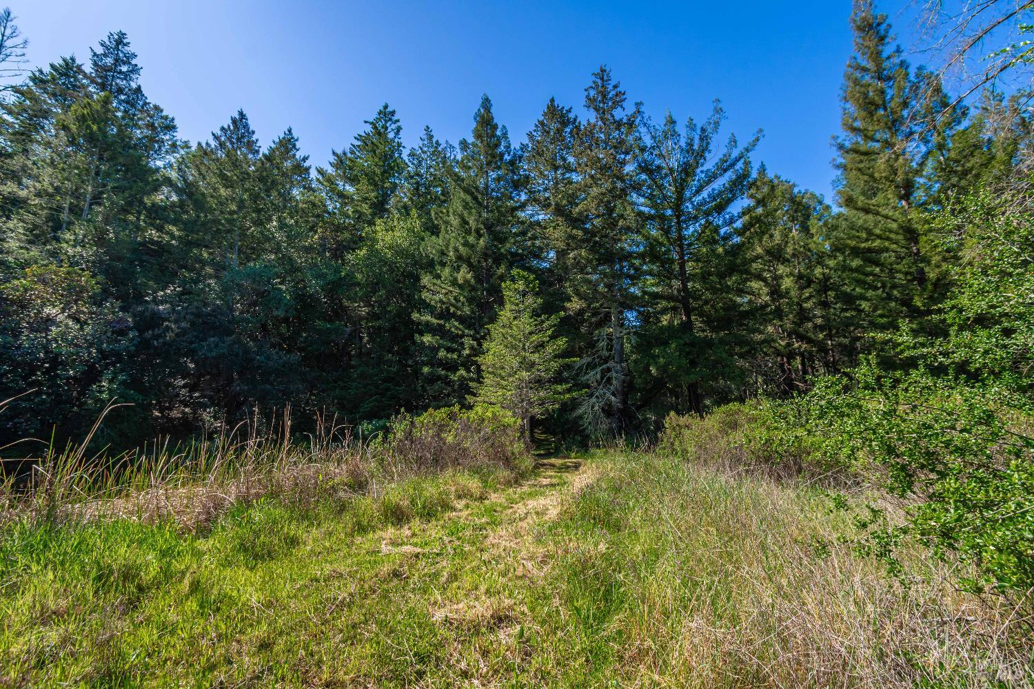 Detail Gallery Image 52 of 98 For 0 Dry Creek Rd, Napa,  CA 94558 - – Beds | – Baths