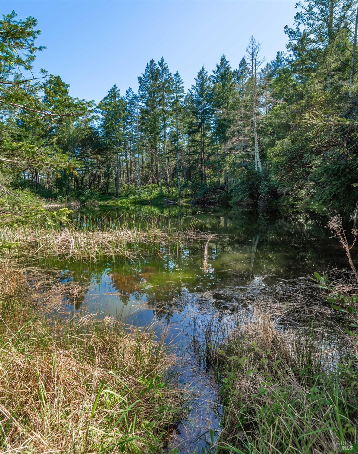 Detail Gallery Image 57 of 98 For 0 Dry Creek Rd, Napa,  CA 94558 - – Beds | – Baths
