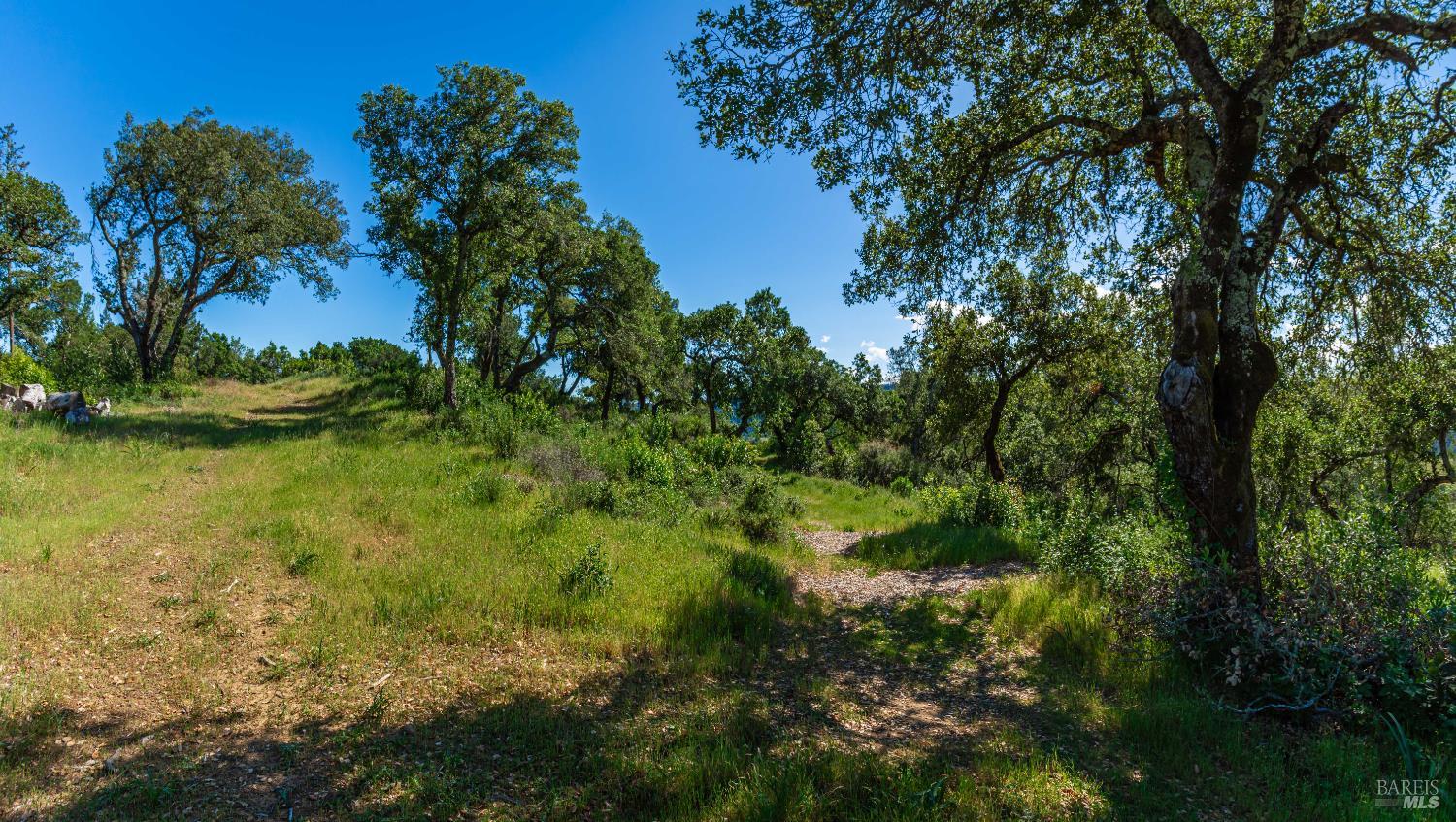 Detail Gallery Image 89 of 98 For 0 Dry Creek Rd, Napa,  CA 94558 - – Beds | – Baths