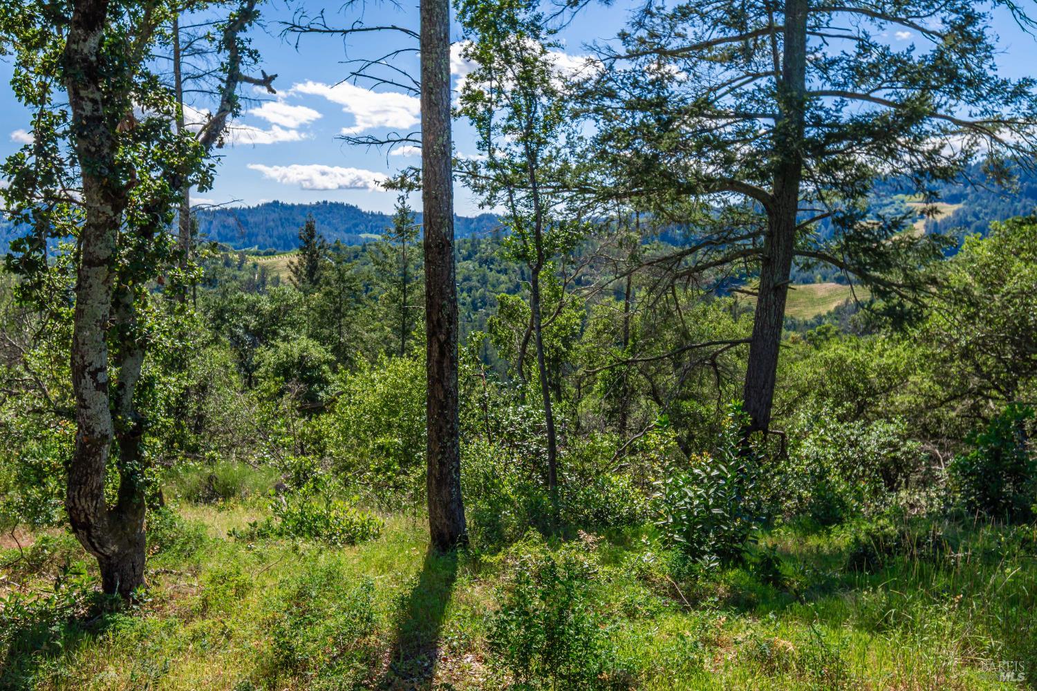 Detail Gallery Image 95 of 98 For 0 Dry Creek Rd, Napa,  CA 94558 - – Beds | – Baths