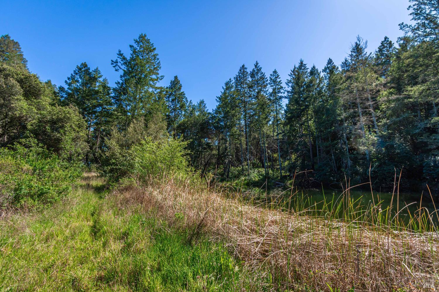 Detail Gallery Image 53 of 98 For 0 Dry Creek Rd, Napa,  CA 94558 - – Beds | – Baths