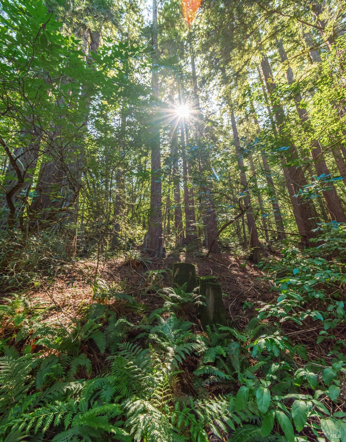 Detail Gallery Image 32 of 98 For 0 Dry Creek Rd, Napa,  CA 94558 - – Beds | – Baths