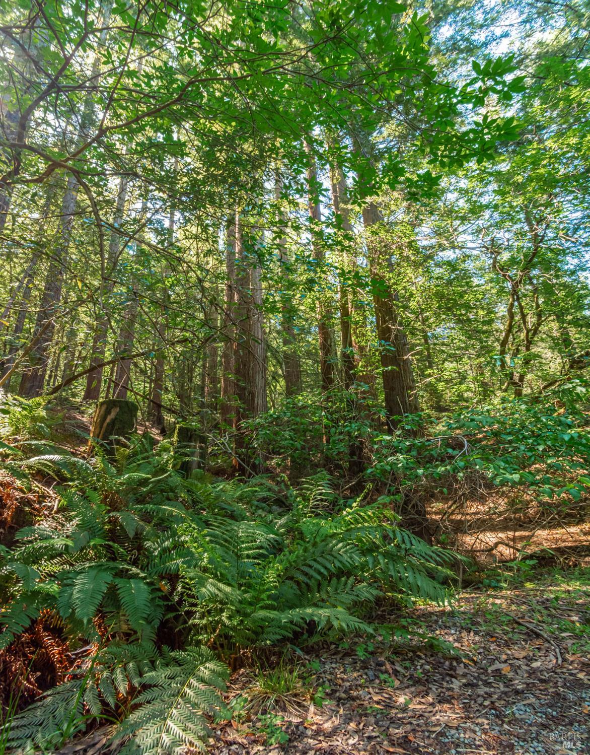 Detail Gallery Image 31 of 98 For 0 Dry Creek Rd, Napa,  CA 94558 - – Beds | – Baths