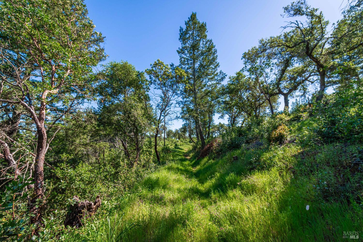 Detail Gallery Image 74 of 98 For 0 Dry Creek Rd, Napa,  CA 94558 - – Beds | – Baths