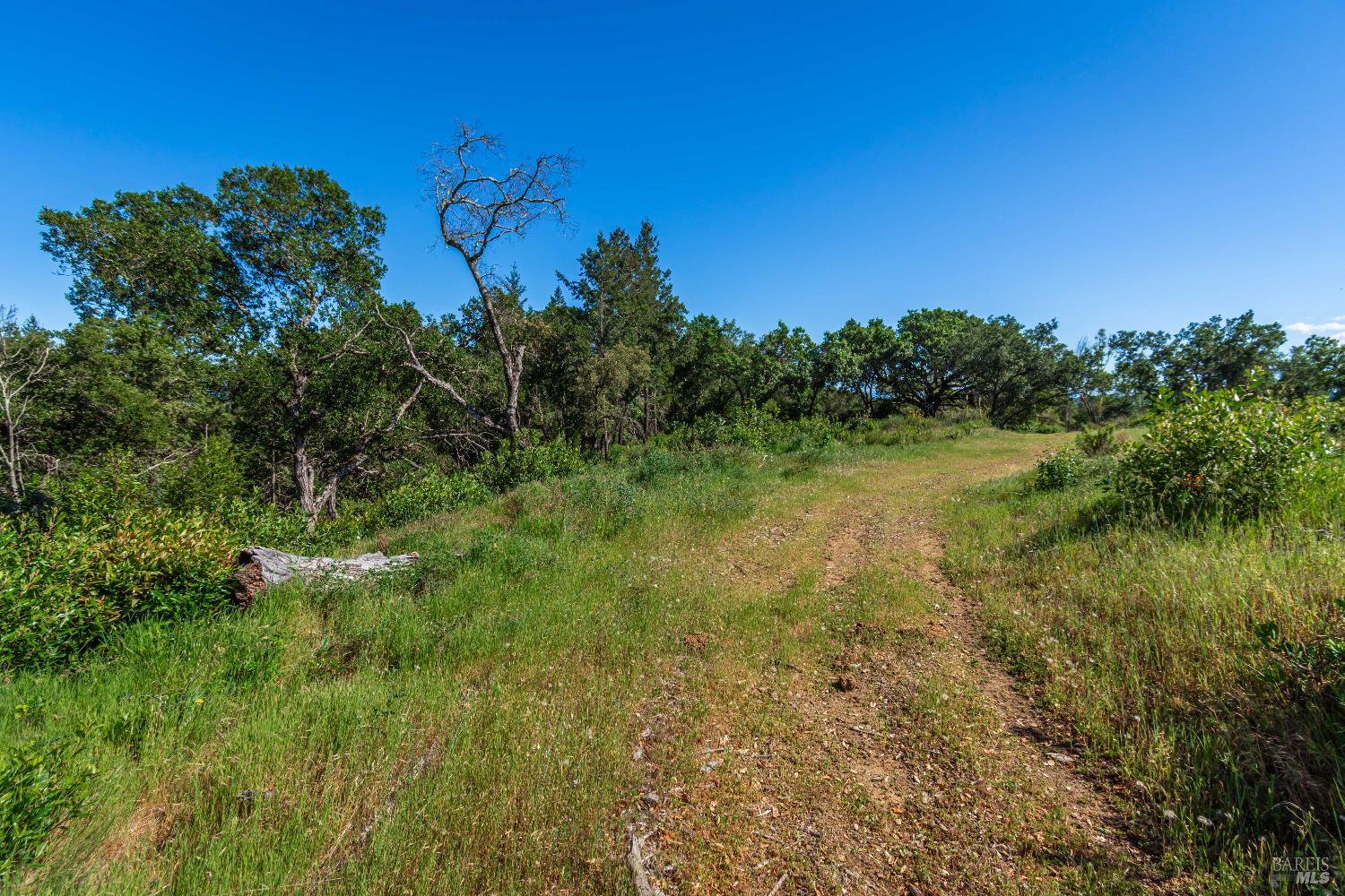 Detail Gallery Image 92 of 98 For 0 Dry Creek Rd, Napa,  CA 94558 - – Beds | – Baths