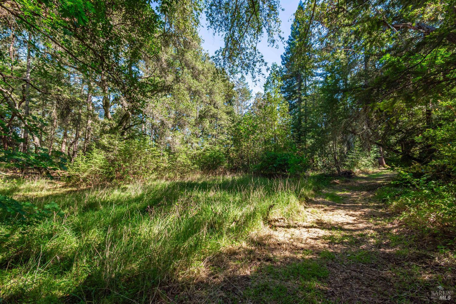 Detail Gallery Image 44 of 98 For 0 Dry Creek Rd, Napa,  CA 94558 - – Beds | – Baths