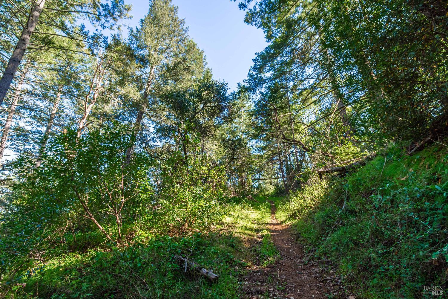 Detail Gallery Image 72 of 98 For 0 Dry Creek Rd, Napa,  CA 94558 - – Beds | – Baths