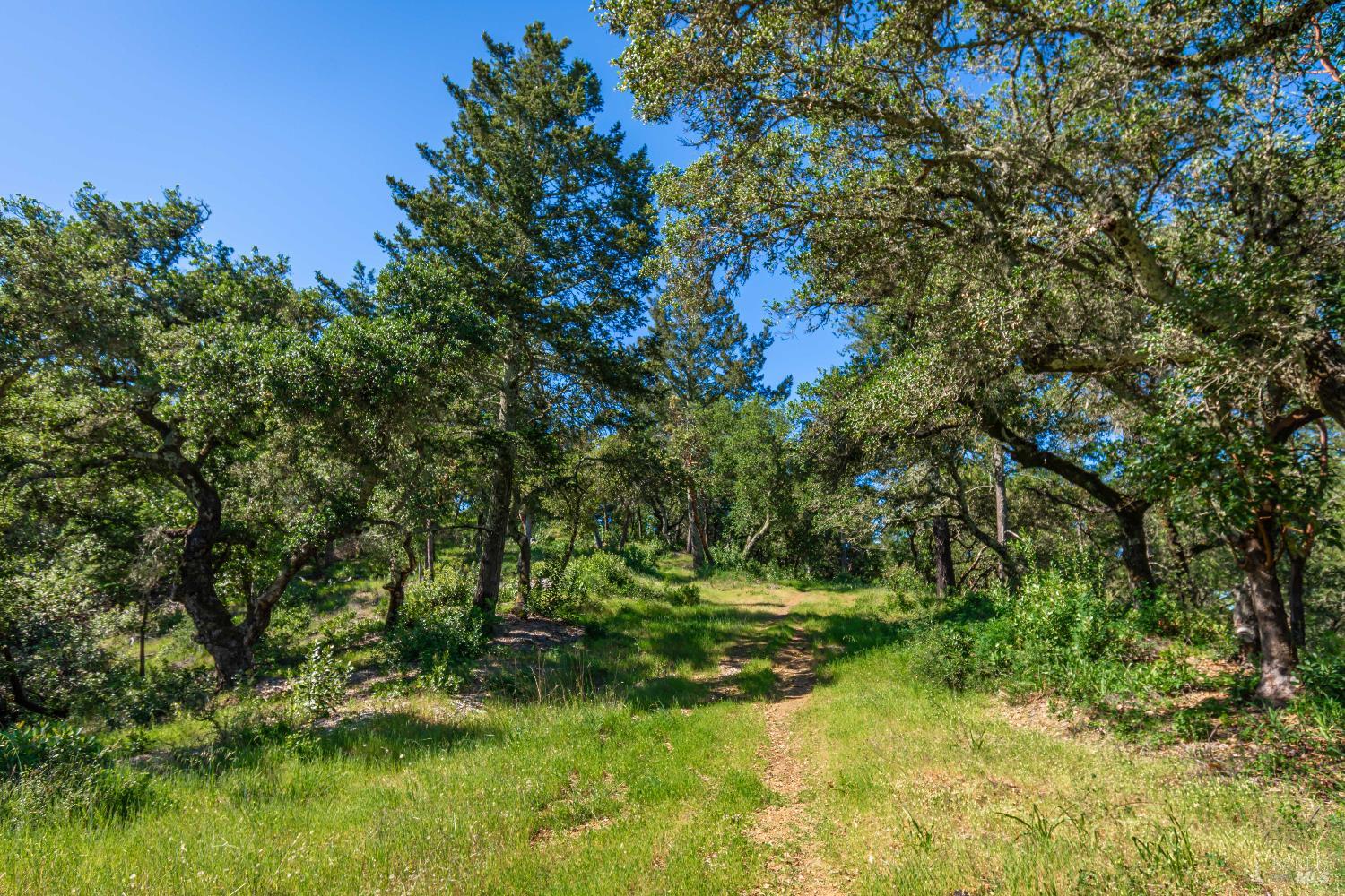 Detail Gallery Image 97 of 98 For 0 Dry Creek Rd, Napa,  CA 94558 - – Beds | – Baths