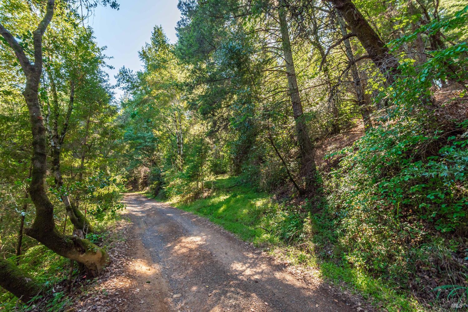 Detail Gallery Image 26 of 98 For 0 Dry Creek Rd, Napa,  CA 94558 - – Beds | – Baths