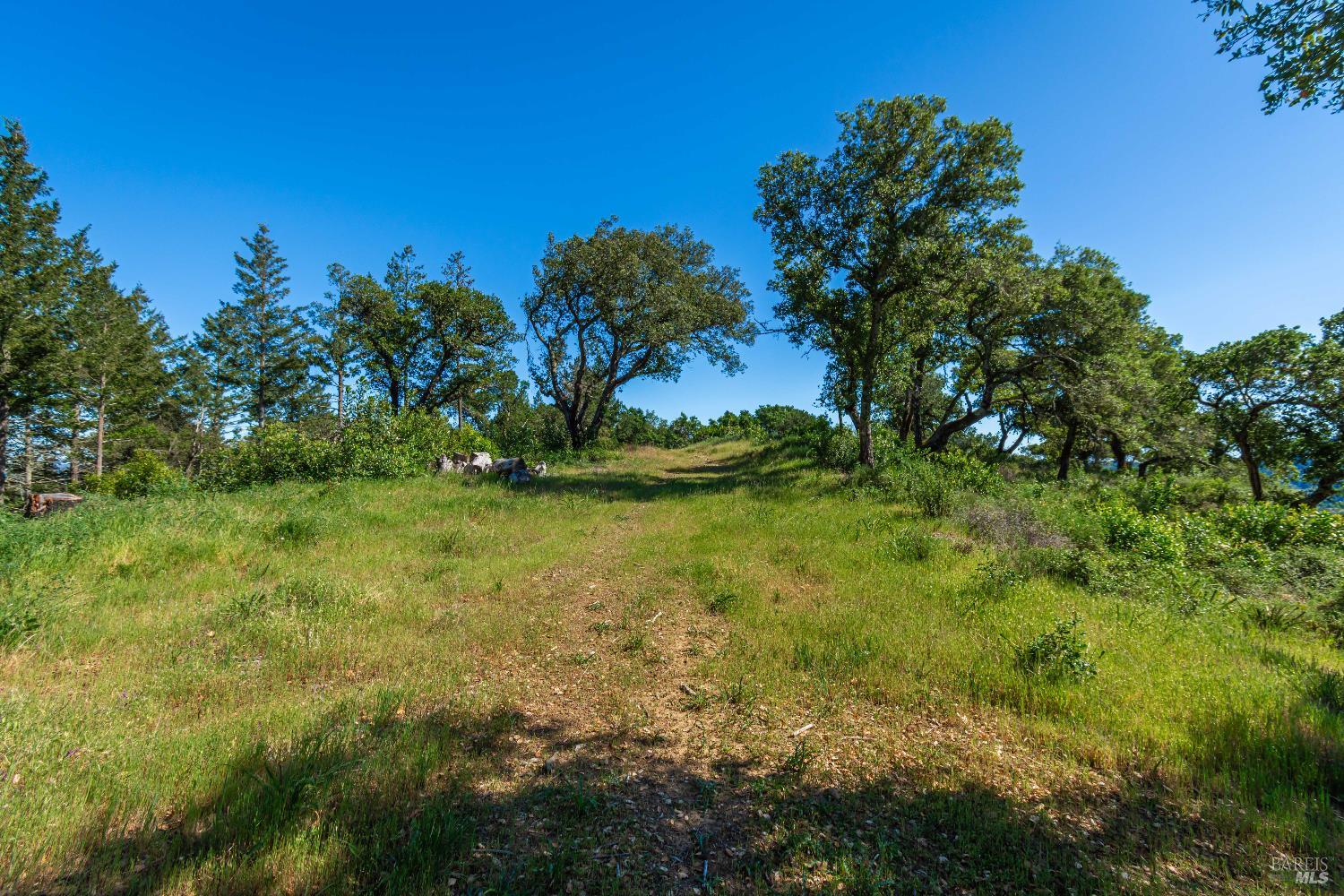 Detail Gallery Image 87 of 98 For 0 Dry Creek Rd, Napa,  CA 94558 - – Beds | – Baths