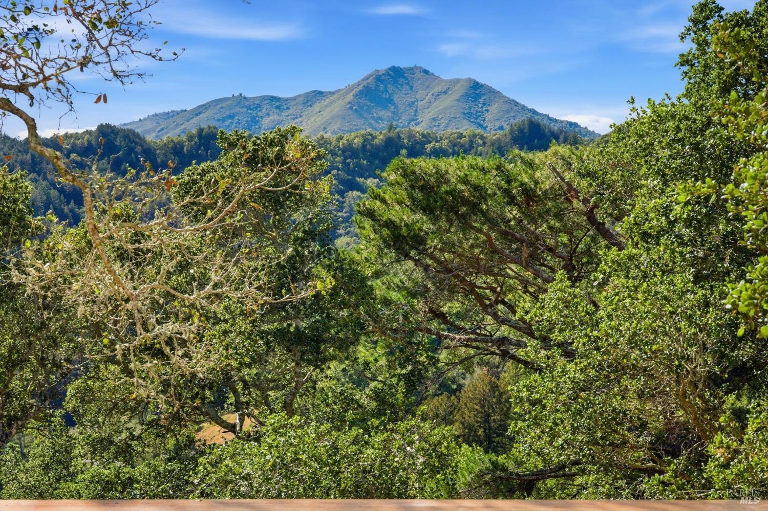 Detail Gallery Image 30 of 65 For 41 Magdalena Ct, Mill Valley,  CA 94941 - 5 Beds | 3/1 Baths