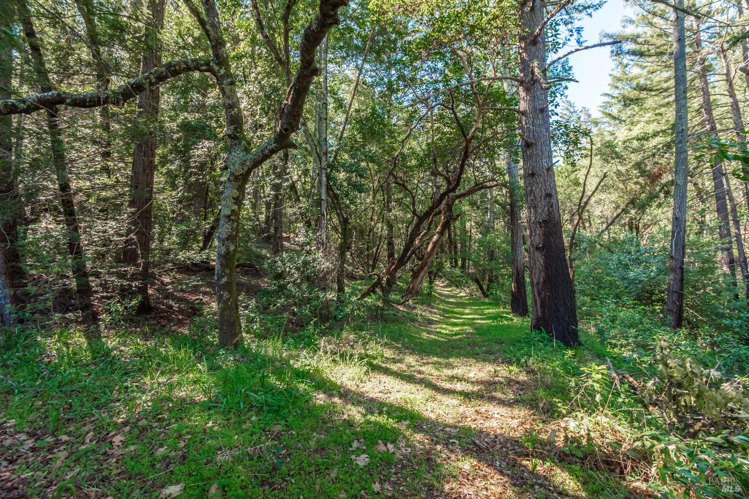 Detail Gallery Image 61 of 98 For 0 Dry Creek Rd, Napa,  CA 94558 - – Beds | – Baths